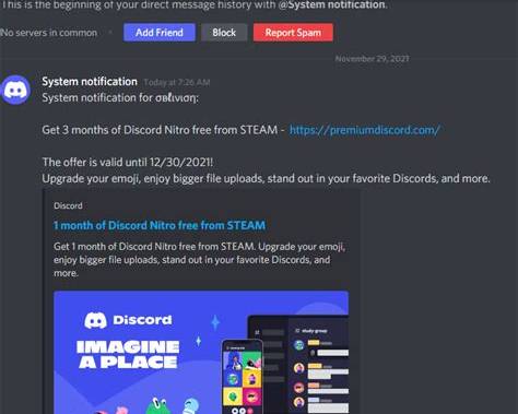 Illustrative example of an account impersonating Discord staff. Scammers may use official-looking names, profile pictures and security-related titles to appear trustworthy.